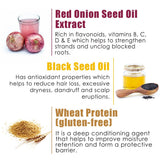 WOW Skin Science Red Onion Black Seed Oil Hair Conditioner with Red Onion Seed Oil Extract, Black Seed Oil & Hydrolyzed Wheat Protein - No Parabens, Mineral Oil, Silicones, Color & Peg - 300 ml - BuyWow