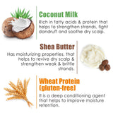 WOW Skin Science Coconut Milk Hair Mask with Coconut Milk - 200 ml - BuyWow