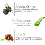 WOW Skin Science Charcoal & Keratin Shampoo - No Sulphates, Parabens, Silicones, Salt & Color - 300 ml - BuyWow